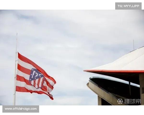 西甲版权招标截止日定于11月28日，结果12月11日公布